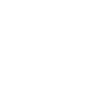 home_page_logos_AUDI_234_130_white (2)