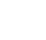 home_page_logos_FORD_234_130_white (9)