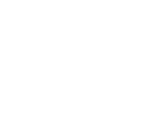 home_page_logos_LAND-ROVER_234_130_white (12)