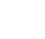 home_page_logos_SEAT_234_130_white (10)